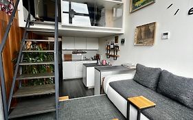 1 Bedroom Loft Apartment